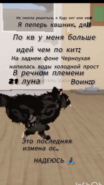 [01:14] дя)//я 𝙺𝙱:𝟹𝟹𝟹