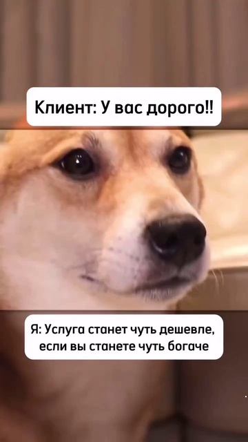 scene_output.mp4