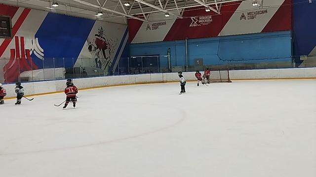 центр акулы 17