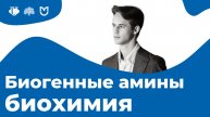 БИОГЕННЫЕ АМИНЫ и ДЕКАРБОКСИЛИРОВАНИЕ за 9 МИНУТ // На Биохимическом