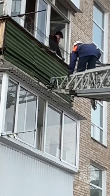 Тишка дома