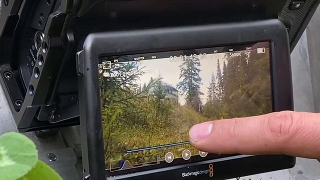 Переворот автобуса