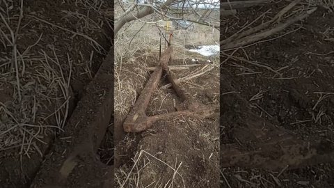 Новая лялька ✨ новый рекорд 🔥