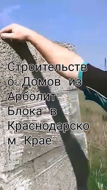 строительство домов из арболита, Арболит Юг, Арболит Борода