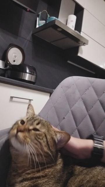 20250407_224738.mp4