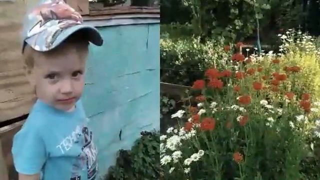 12 августа 2017 г.