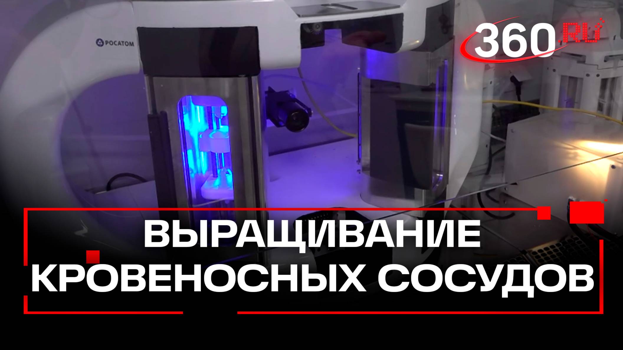 Ученые «Росатома» научились выращивать кровеносные сосуды: процесс и преимущества