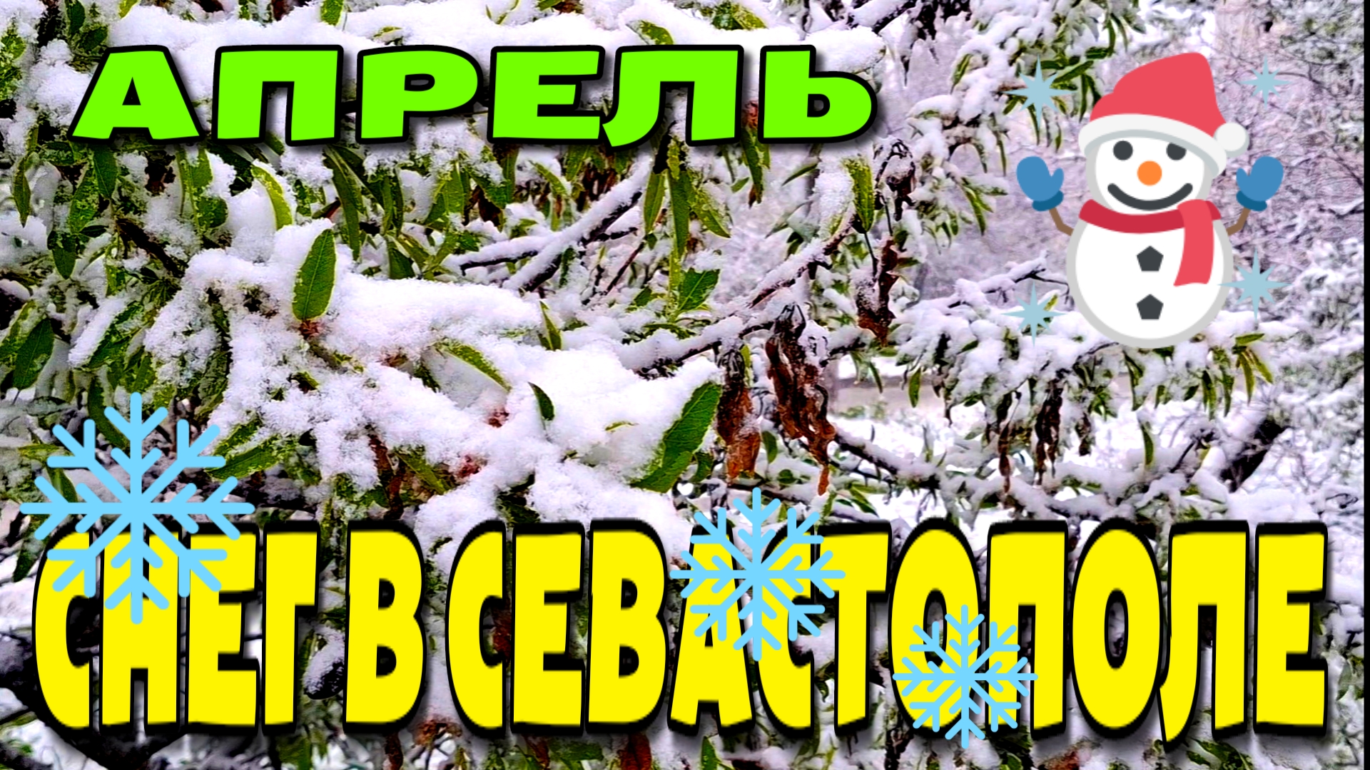 В СЕВАСТОПОЛЕ ПОШЕЛ СНЕГ. АПРЕЛЬСКИЙ КОЛЛАПС. ❄️❄️❄️ #севастополь #снегвкрыму #крым