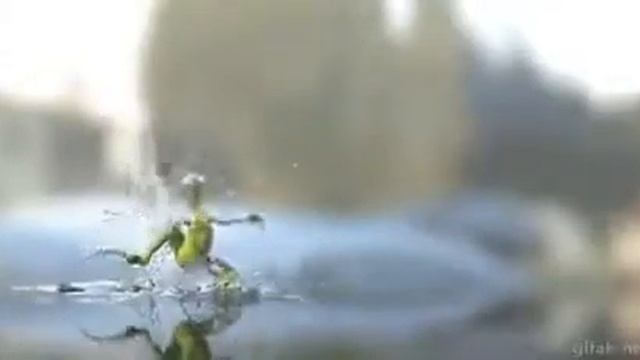 Замедленное время
