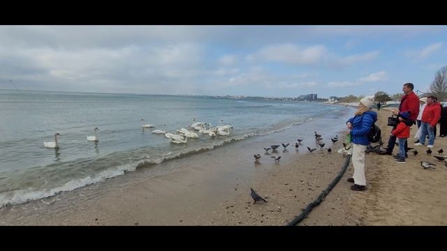 Курортная Анапа в выходной.