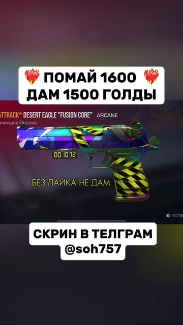 IMG_4342.MOV