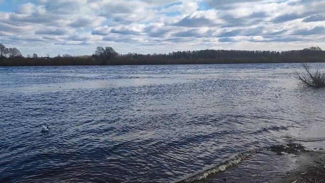 Звуки воды, волн, ветра, чаек. Для сна. Можно представить себя на берегу реки.  Как белый шум.