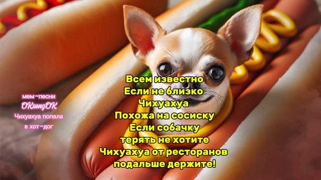 Чихуахуа попала в хот-дог #чихуахуа #юмор