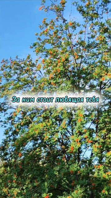 Кто ваши Учителя?