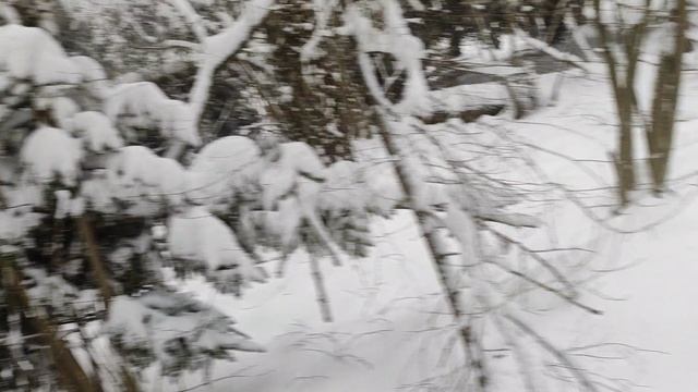 Вот такая вот весна)