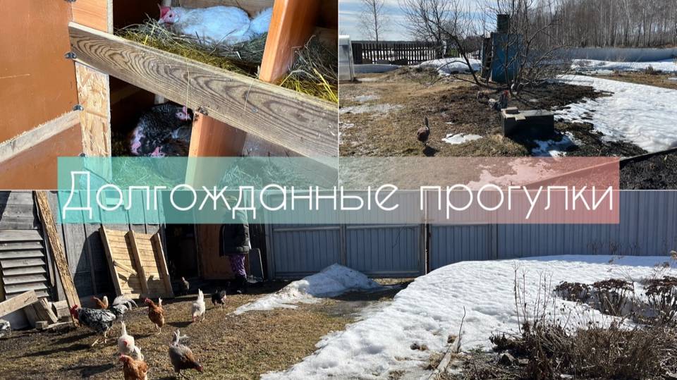Долгожданные прогулки