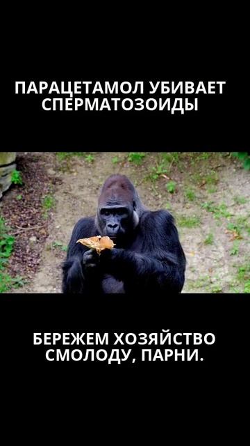 Бережем хозяйство смолоду, парни.
