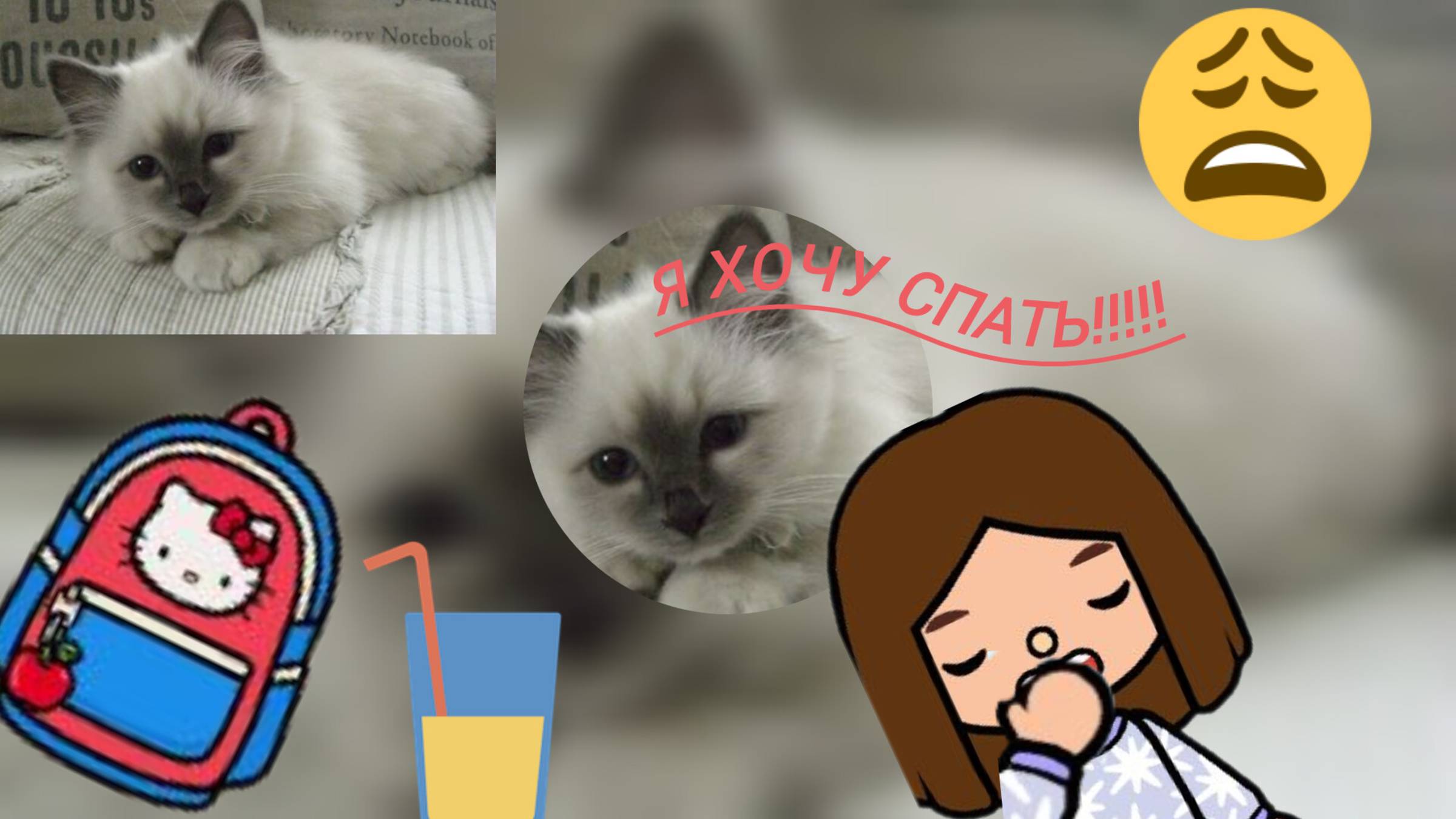Влог: Мой будний день в Toca Boca World _ тока бока _ toca boca