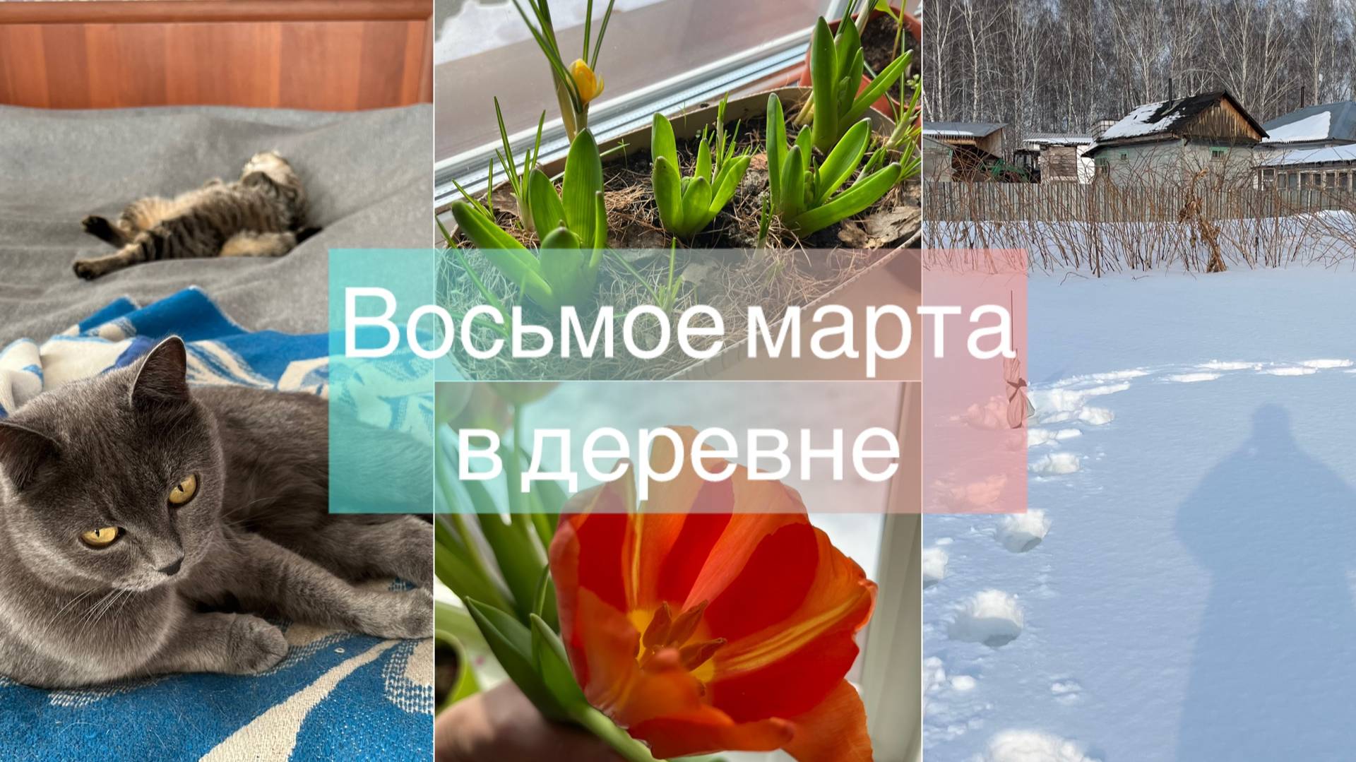 Восьмое марта в деревне