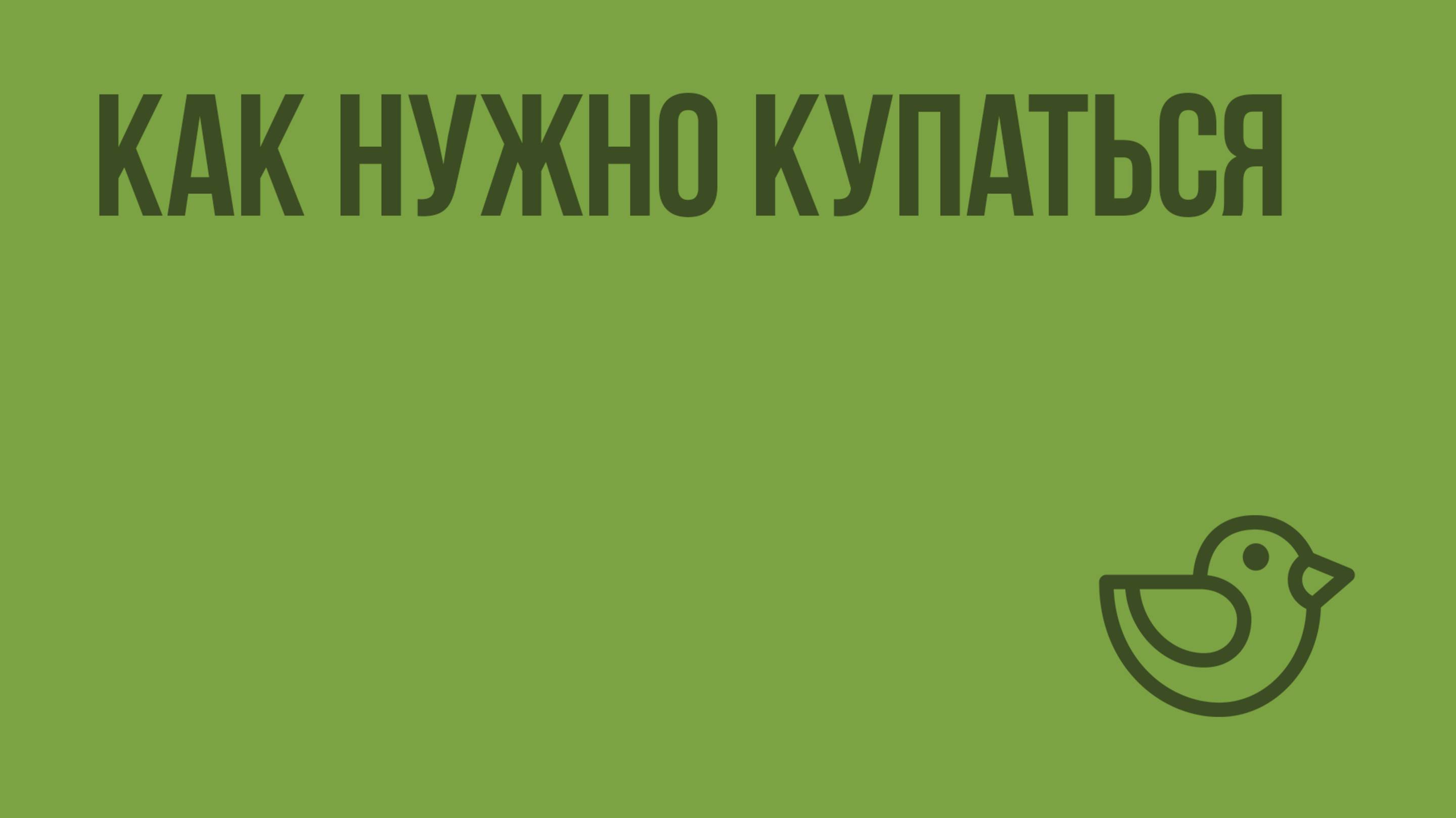Как нужно купаться. Видеоурок по окружающему миру 2  класс