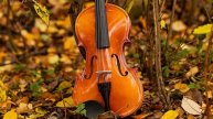 Скрипка музыка. Современная скрипка. Спокойная скрипка. Грустная скрипка. Классическая музыка