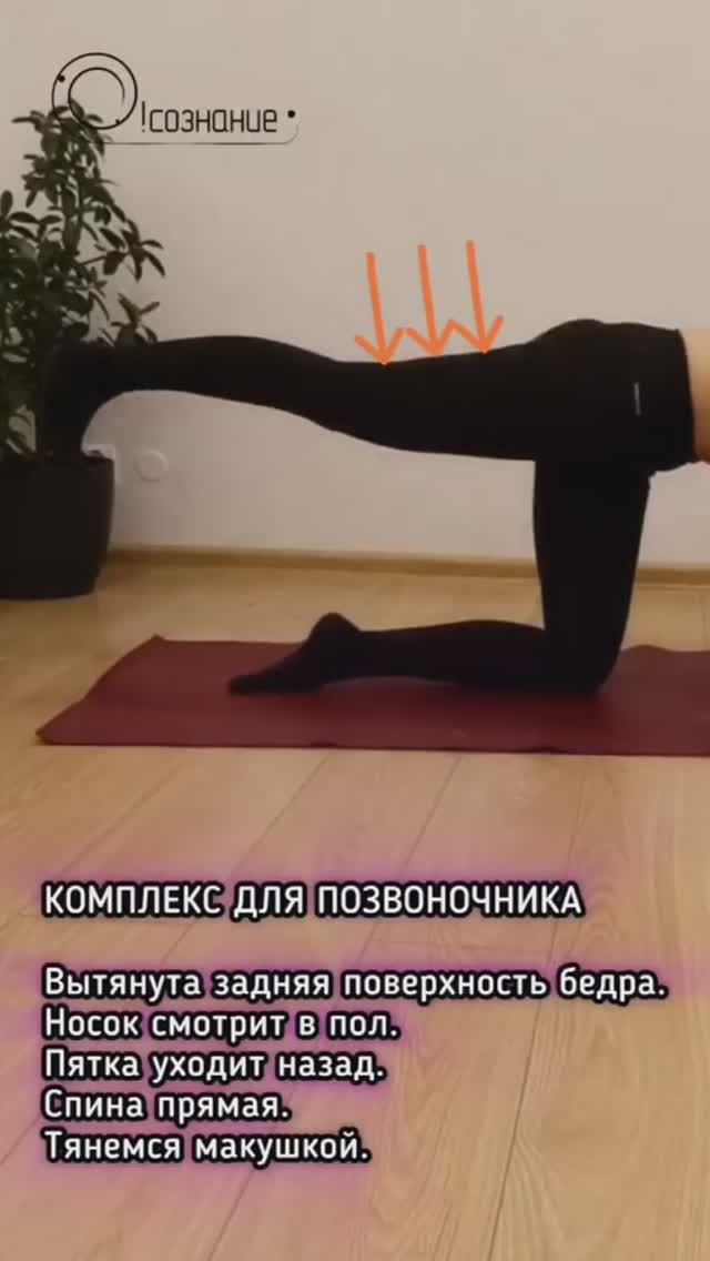 Здоровый позвоночник: укрепляем бедра и спину #здороваяспина #йогаспб #позвоночник
