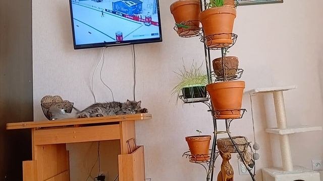 Мама обрати внимание на Филю
