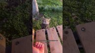 Вот такие необычные варианты подарков для себя из Адыгеи 🥰