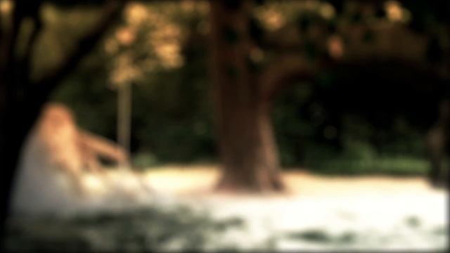 Dinosaur Renders