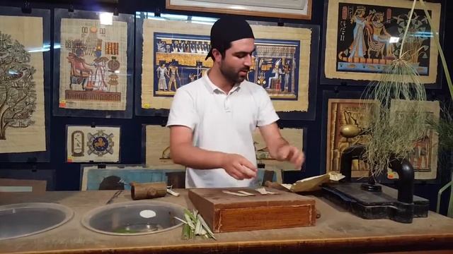 How to make papyrus paper / EGYPT Cairo