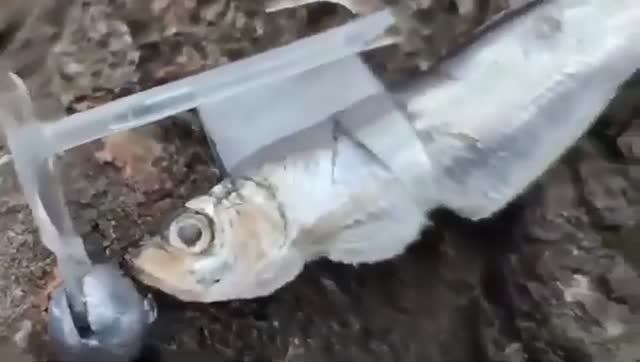 снасточка