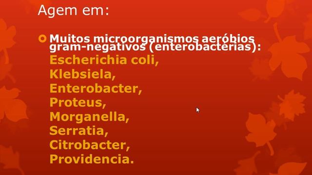 Gentamicina, amicacina e outros AMINOGLICOSÍDEOS