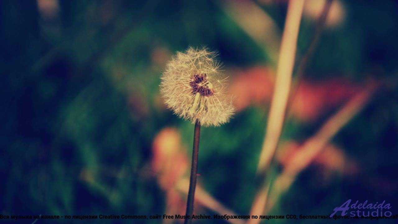 ❤ ♥ ❤ Мелодия, которая лечит душу - Dreaming Of Warmth ( Sad , Dark ) -- HoliznaPATREON -- Soundtrac