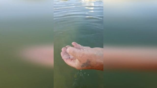 ПЕРВЫЙ РАЗ ПОПАЛ НА МОРЕ