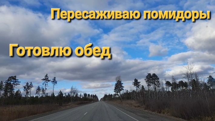 Пересаживаю помидоры/ Готовлю обед/Распаковка продуктов/Жизнь в деревне
