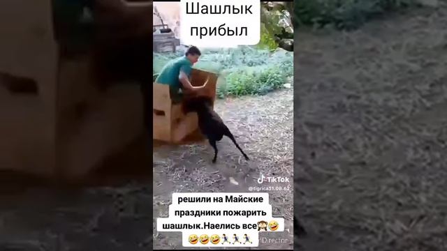 Шашлык так шашлык