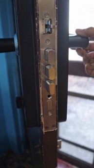 D1 pro : Delta smart lock