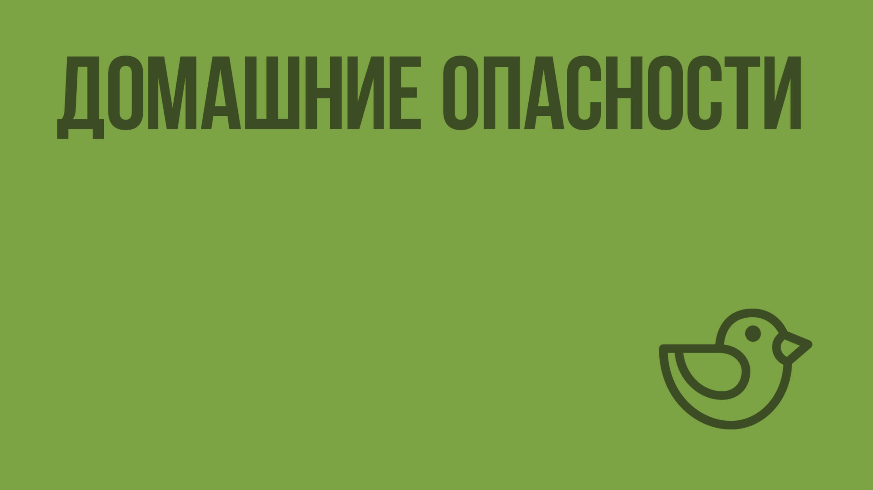 Домашние опасности. Видеоурок по окружающему миру 2  класс