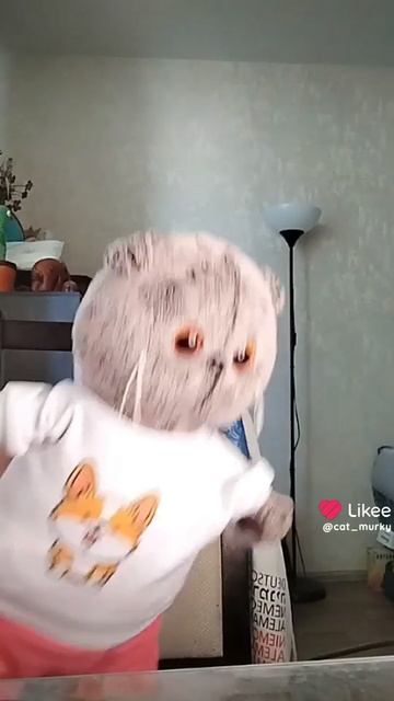 марсик придумал трек. Как вам?