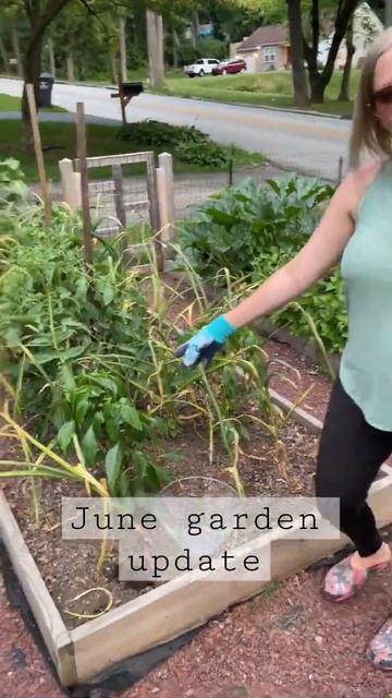 Full garden tour | June edition
