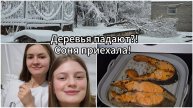 Рецепт рыбы в аэрогриле Xiaomi|ВОПРОС от Сони|Лайфхак: творог из кефира || почему деревья падают?