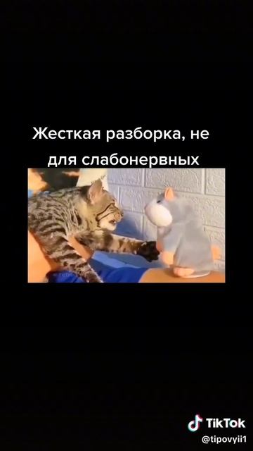 лайк,подписка