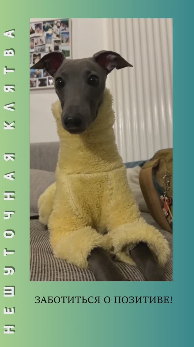 НеШуточная клятва.