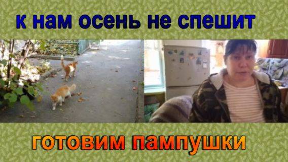 № 894 к нам осень не спешит // готовим пампушки
