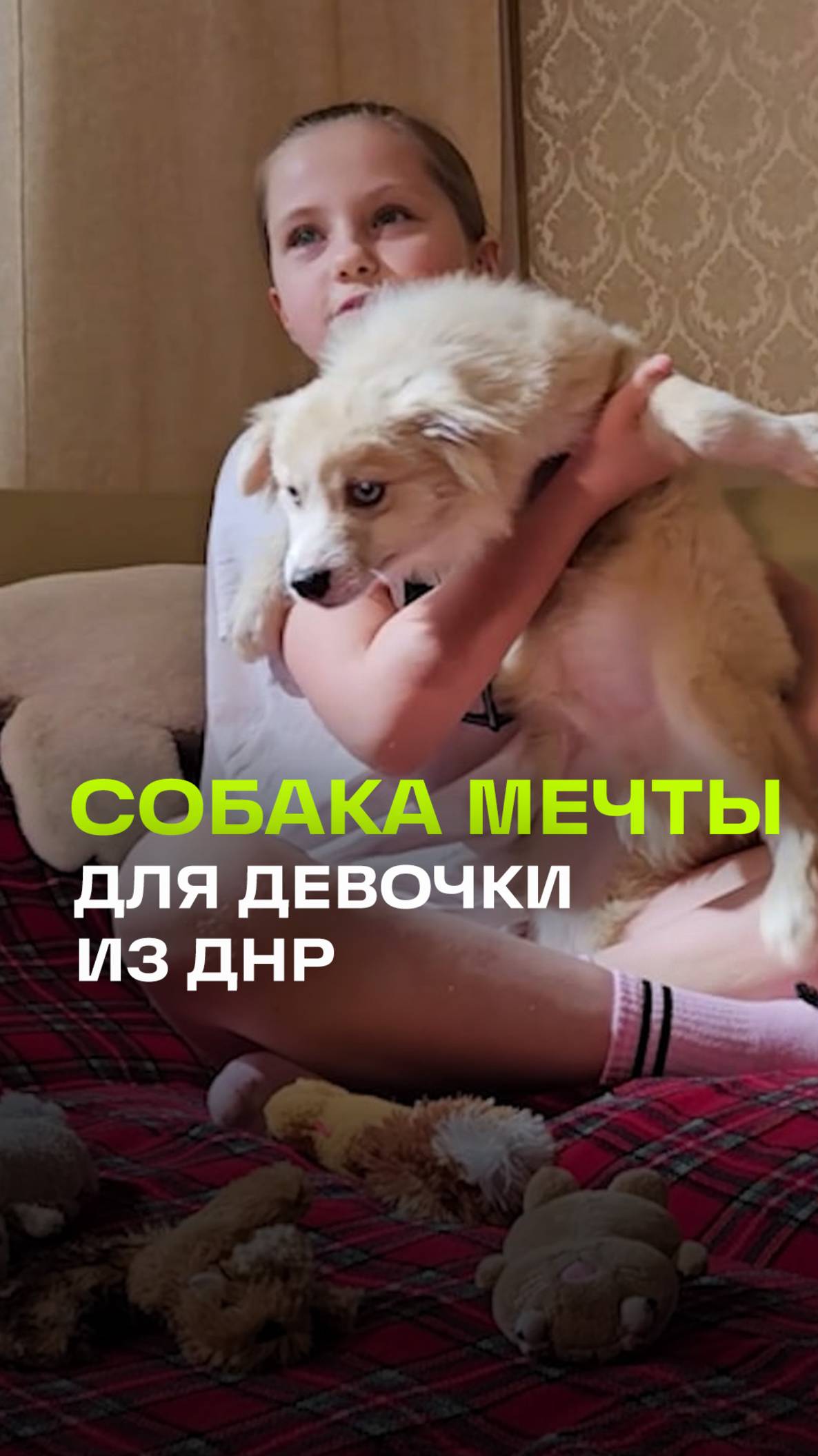 Исполнение заветного желания девочки из ДНР