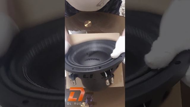 SQ сабвуфер от DL audio серия Anaconda 10 .