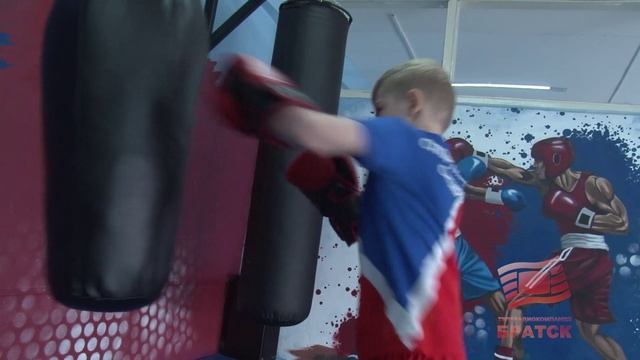 Чемпионы Севера. Боксёры Братска привезли россыпь наград из Железногорска-Илимского