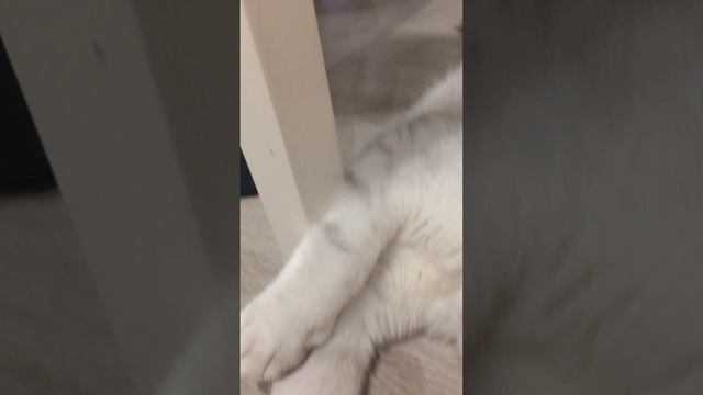 ЭМИЛЬКА