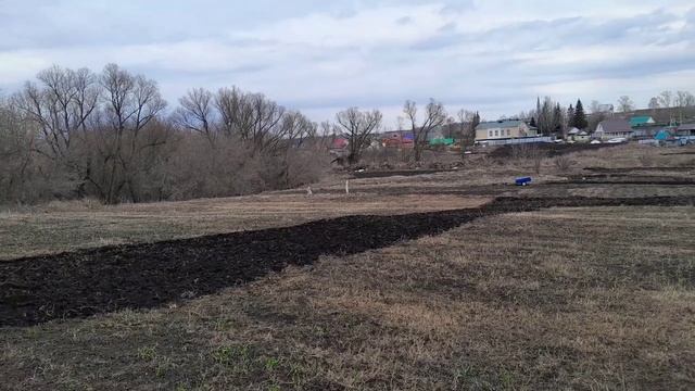 Фрезерую мотоблоком