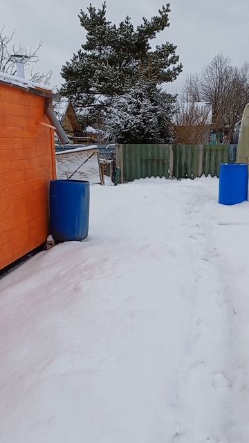 Зима берёт своё ❄️🌡